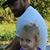 Jason Chad Stinnett's profile image
