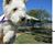 Candy Livingston's profile image