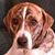 Autumn EnSarah Spencer's profile image