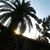 Cricket Moffett's profile image