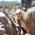 Phyllis McGowan's profile image