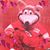 Sandi Plum's profile image