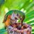 Dody Carden's profile image