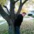 Jerrie Hammond-Begue's profile image