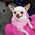Latasha Fields-Abrahim's profile image