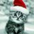 Julie Wright's profile image