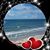 Kris Toth's profile image