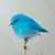 Vicki Marshall Laws's profile image