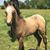 Sandy Lynn Price's profile image