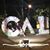 Carolina Bolanos's profile image