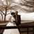 Stacey Fortenberry Reece's profile image