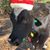 Deana Clark Nash's profile image