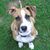 Edie Bunting's profile image