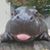 Amanda Johnson's profile image