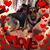 Celestine Robinson Satterfield's profile image