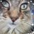 Shirley Henderson's profile image