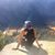 Rene Cardiel's profile image