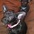 Debbie Ferderer's profile image