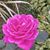Joanna Bowen's profile image