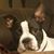 Sheryl Robertson Bagwell's profile image