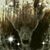 Wendy Smith's profile image