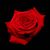 Carla Michelle's profile image