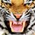 Wayne Pugh's profile image