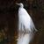 McLeish Sue's profile image