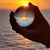 Toni Hall Lentner's profile image
