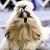 Kathy Sirochman Witala's profile image