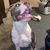 Austin Sanchez's profile image