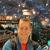 Tim Lowe's profile image