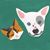 Tae Hatayama's profile image