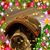 Bill Barch's profile image