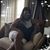 Sharlene Wright's profile image