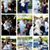 Joyce Mederos's profile image