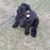 Ace Feinsod's profile image