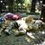 Kristen Petzinger's profile image