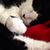 Mona Starwhiskey's profile image