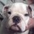 Michael Gehrum's profile image