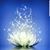 Karen Bieker-Laskowski's profile image