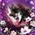 Renee Mello's profile image