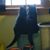 Tracy Blagden Goupil's profile image