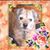 Vicki McFadin's profile image