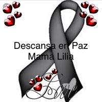 Gerardo Pulido's profile image