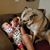 Lisbeth Santillana's profile image
