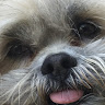 Criss R.'s profile image