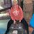 Tricia Brown-Beane's profile image