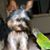 Kathleen Santangelo's profile image