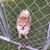 Kay Bowden's profile image